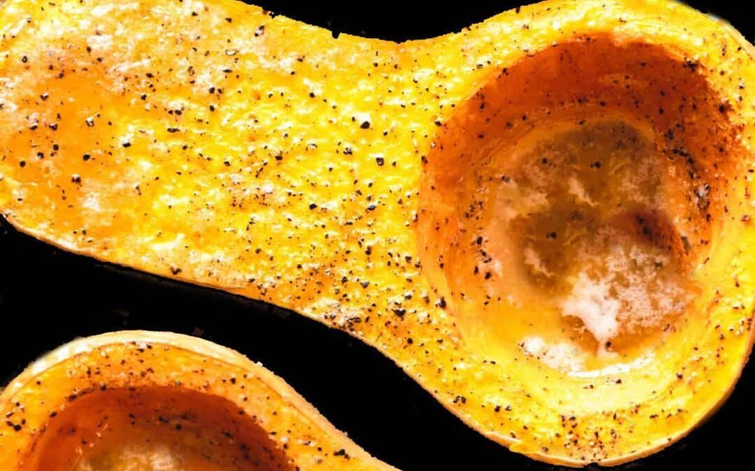 Butternut Squash Puree