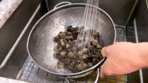 Escargot Recipe - rinsing the escargot