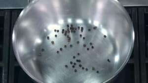 How to make Pasta Alla Gricia Recipe - Roast the peppercorns