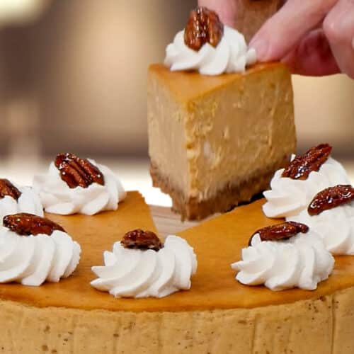 Pecan Pumpkin Cheesecake Recipe - Cutting the first slice